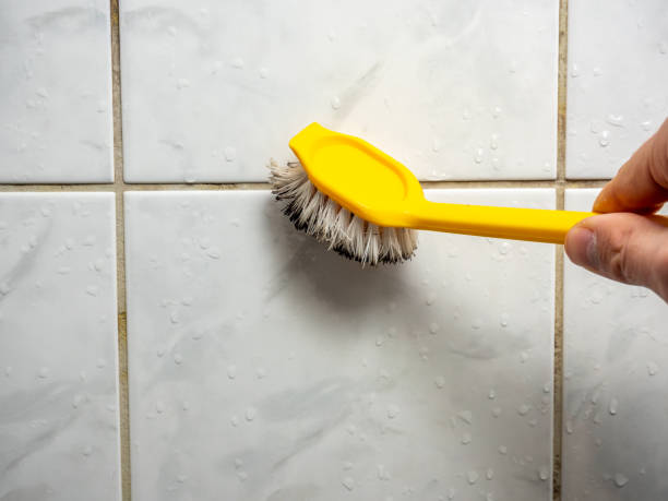 Best Certified Mold Removal  in Pierce City, MO