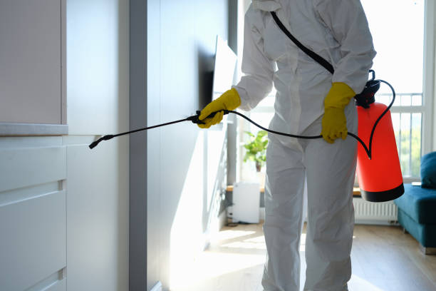 Best Crawl Space Mold Removal  in Pierce City, MO